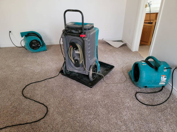 Best Water damage restoration near me  in Marion, WI