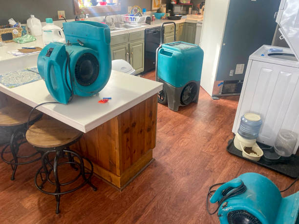 Best Emergency water damage restoration  in Marion, WI