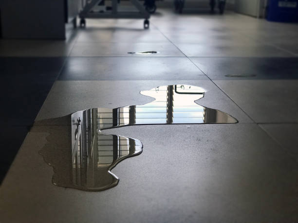 Best Water damage contractors near me  in Marion, WI