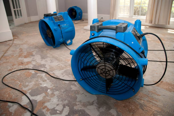 Best Water damage cleanup near me  in Marion, WI
