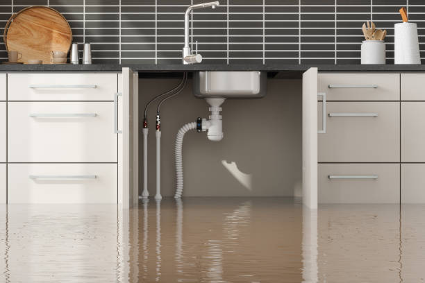 Best 24/7 water damage repair  in Marion, WI