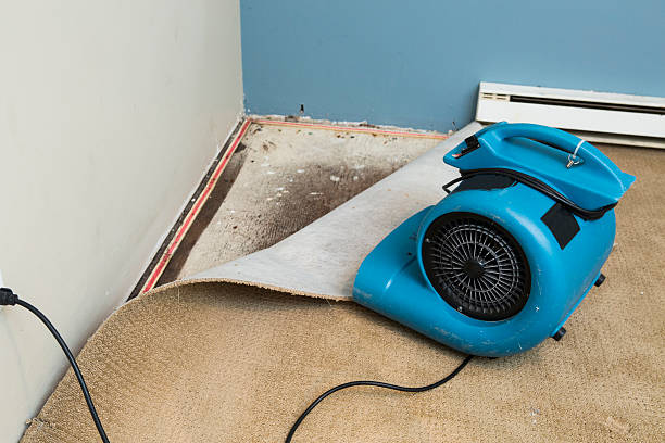 Best 24-hour water damage restoration  in Marion, WI